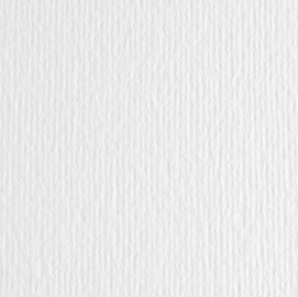 BLISTER 20FG CARTONCINO 50X70 220GR BIANCO 100 FABRIANO ELLE ERRE