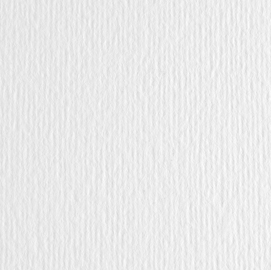 BLISTER 20FG CARTONCINO 50X70 220GR BIANCO 100 FABRIANO ELLE ERRE