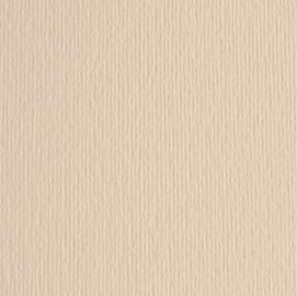 BLISTER 20FG CARTONCINO 50X70 220GR PANNA 101 FABRIANO ELLE ERRE