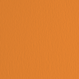 BLISTER 20FG CARTONCINO 50X70 220GR ARANCIO 108 FABRIANO ELLE ERRE
