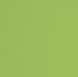 BLISTER 20FG CARTONCINO 50X70 220GR VERDE PISELLO 110 FABRIANO ELLE ERRE