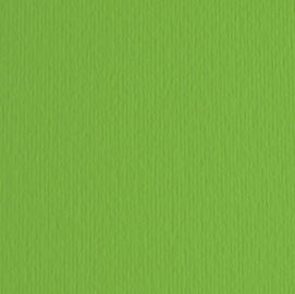 BLISTER 20FG CARTONCINO 50X70 220GR VERDE 111 FABRIANO ELLE ERRE