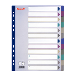 Separatore in PPL traslucido 12 tasti f.to A4 MAXI 24,5x29,7cm ESSELTE