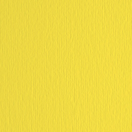 BLISTER 10FG CARTONCINO 70X100 220GR CEDRO 125 FABRIANO ELLE ERRE