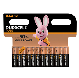 Blister 12 pile Duracell Plus 100 - AAA MiniStilo