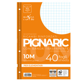 RICAMBI FORATI RINFORZATI A4 10MM 40FG 80GR PIGNARIC