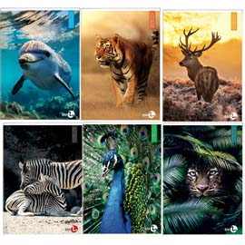 Maxiquaderno A4 40fg+2 80gr 4mm Animal 2023 BM